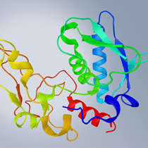 Techniken zur Analyse von Protein-Protein und Protein-DNA Interaktionen