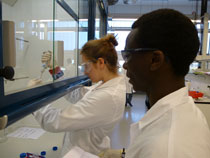JUB students isolating DNA