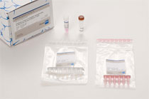Mycoplasma Test-Kit IC